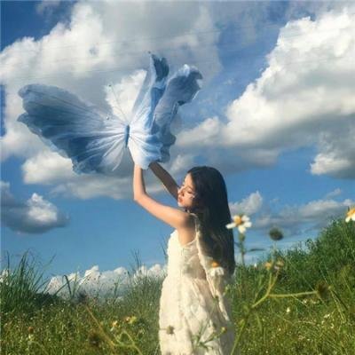 一只土拨鼠能啃掉多少